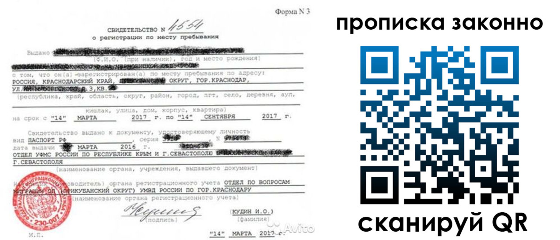 прописка для работы в Павловске