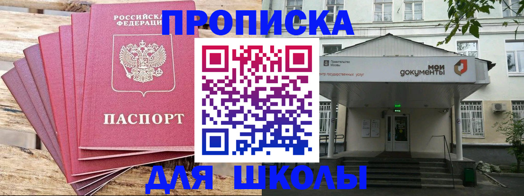 временная регистрация поиск в Павловске