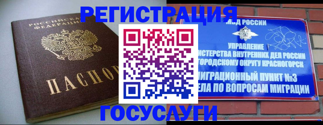 временная прописка в Павловске